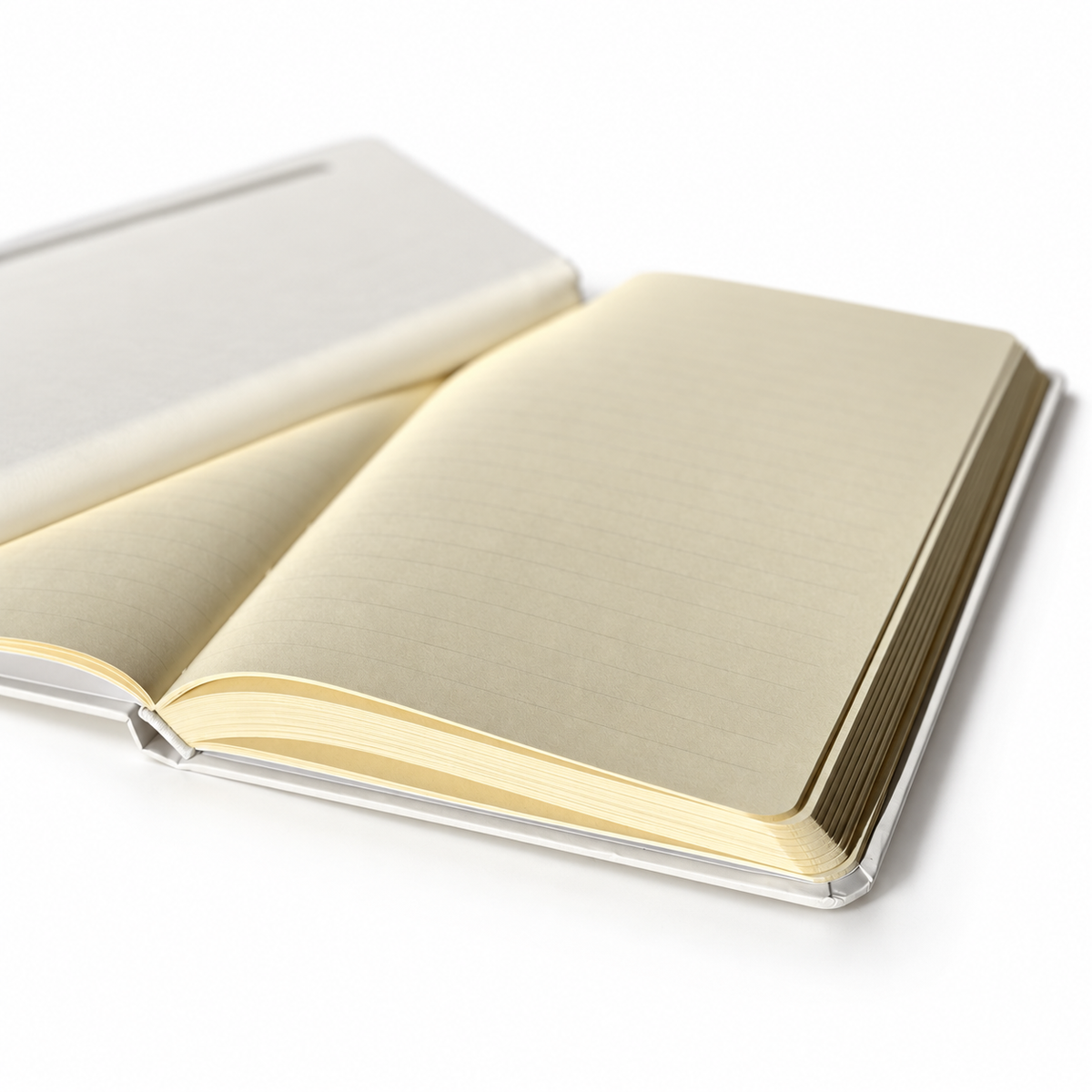 Notebook page and binding detail